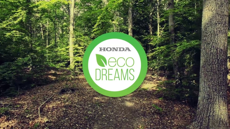 EcoDreams